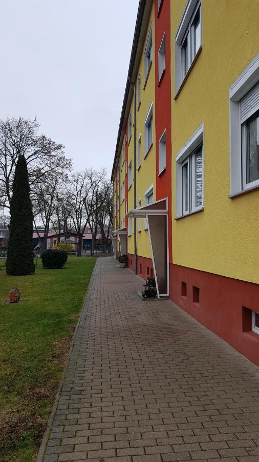 Ferienwohnung Lion Oschersleben Exteriör bild
